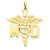 14k Gold Large M.D. Caduceus Charm hide-image