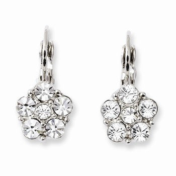 Silver-tone Crystal Leverback Earrings