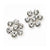 Silver-tone Glass Stones Post Earrings