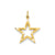 Diamond-cut Star Charm in 14k Gold