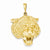 14k Gold Tigers Head Pendant, Pendants for Necklace