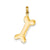 Solid Polished Dog Bone Charm in 14k Gold