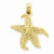 14k Gold Polished Open-Backed Starfish pendant, Fine Pendants for Necklace