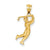 14k Gold Solid Satin Diamond-cut Open-Backed Male Golfer Charm hide-image