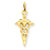 14k Gold 3-D Caduceus Charm hide-image