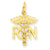 14k Gold Nurse Charm hide-image