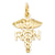 Nurse Charm in 14k Gold