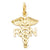 14k Gold Nurse Charm hide-image