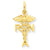 14k Gold R.N. Association Charm hide-image