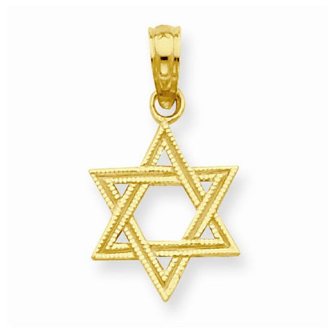 14k Gold Star of David pendant, Charm