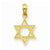 14k Gold Star of David pendant, Charm