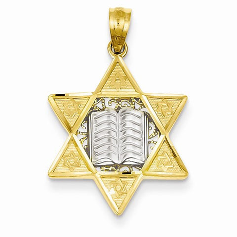 14k Gold Two-tone Star of David Pendant, Gorgeous Pendants for Necklace