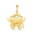 Cancer Zodiac Charm in 14k Gold