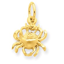 14k Gold Cancer Zodiac Charm hide-image