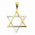 14k Gold Two-tone Star Of David Pendant, Classy Pendants for Necklace