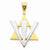 14k Gold Two-tone Fancy Star of David pendant, Adorable Pendants for Necklace
