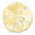 14k Gold Polished Fits up to 8mm on Both Small Sand dollar Slide Pendant, Pendants for Necklace
