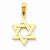 14k Gold Polished Star of David pendant, Pendants for Necklace