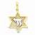 14k Gold w/Rhodium Mesh Star Of David w/Chai Pendant, Pendants for Necklace