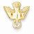 14k Gold Polished Dove Charm hide-image
