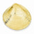 14k Gold Clam Shell Slide Pendant, Pendants for Necklace
