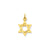 Solid Satin Star of David Charm in 14k Gold