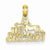 14k Gold 100% Sagittarius Pendant, Pendants for Necklace