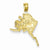 14k Gold Polished & Textured ALASKA Map Pendant, Pendants for Necklace