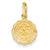 14k Gold Baptism Polished Charm hide-image