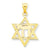 14k Gold Solid Polish Chai in Star of David Charm hide-image