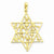 14k Gold Star Of David 12 Tribes Pendant, Pendants for Necklace