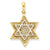 14k Gold & Rhodium Solid Open-back Meshed Star of David Charm hide-image