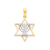 Solid Menorah in Star of David Charm in 14k Yellow Gold