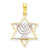 14k Yellow Gold & Rhodium Solid Menorah in Star of David Charm hide-image