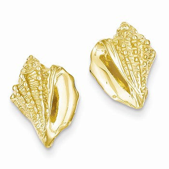 14k Yellow Gold Conch Shell Earrings