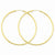 14k Yellow Gold Polished Round Endless 2mm Hoop Earrings