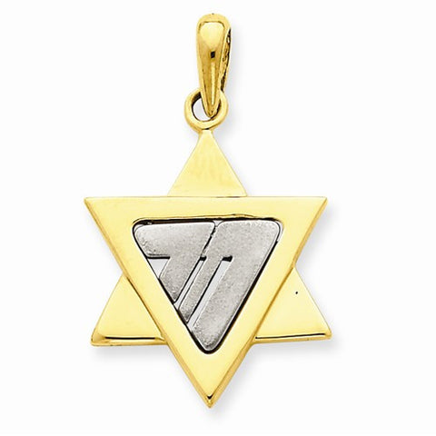 14k Gold Two-tone Star of David Pendant, Gorgeous Pendants for Necklace