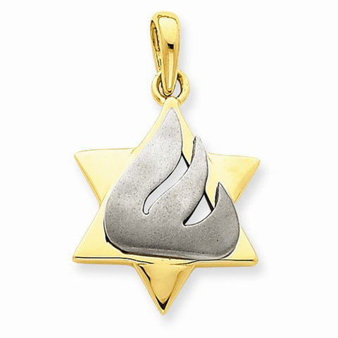 14k Gold Two-tone Star of David Pendant, Classy Pendants for Necklace