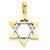 14k Gold Two-tone Star of David Pendant, Charm