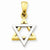 14k Gold Two-tone Star of David Pendant, Stylish Pendants for Necklace