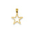 Star Charm in 14k Gold