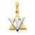 14k Gold Star of David w/Shin Charm hide-image