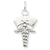 14k White Gold Nurse Symbol Charm hide-image