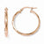 14k Yellow Gold & Rose Gold-plated Polished Hoop Earrings
