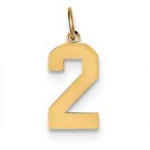 14k Gold Medium Polished Number 2 Charm hide-image