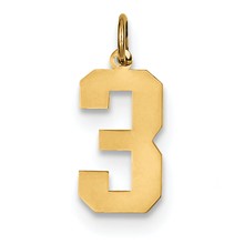 14k Gold Medium Polished Number 3 Charm hide-image