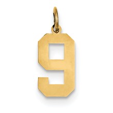 14k Gold Medium Polished Number 9 Charm hide-image