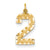 Casted Large Diamond Cut Number 2 Charm in 14k Yellow Gold