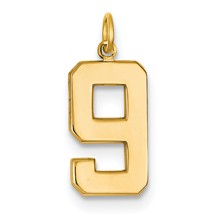 14ky Casted Large Polished Number 9 Charm hide-image