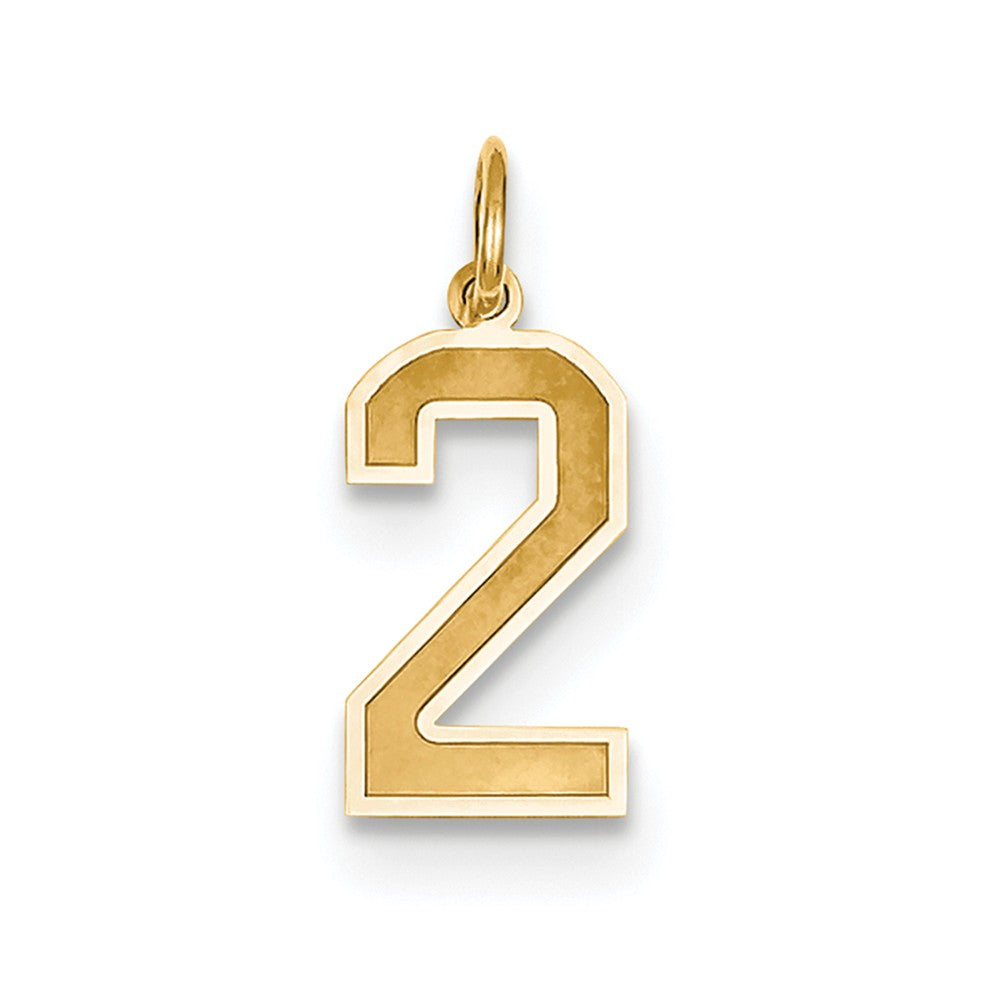 14k Gold Medium Satin Number 2 Charm | CharmsToTreasure | CharmsToTreasure
